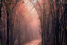 柏林赫塔球队引援新秀，或成球队新亮点