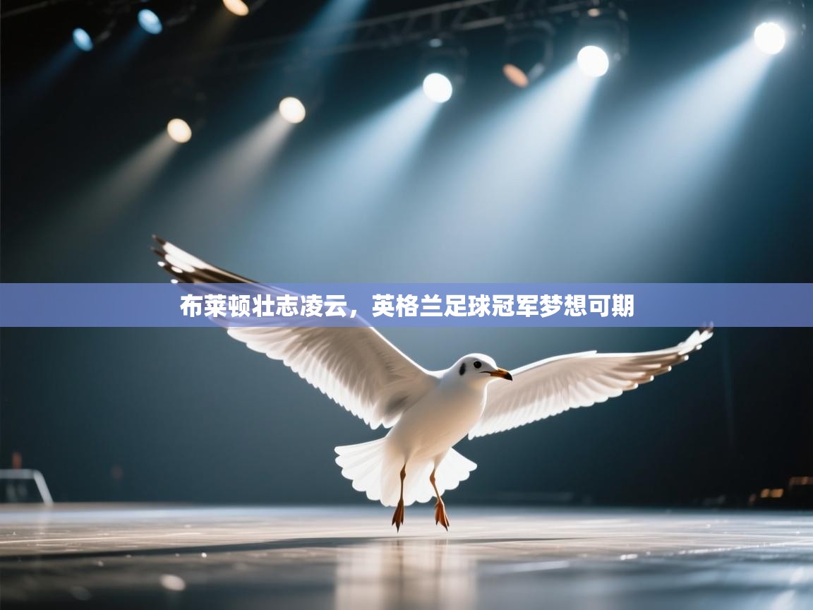 布莱顿壮志凌云，英格兰足球冠军梦想可期