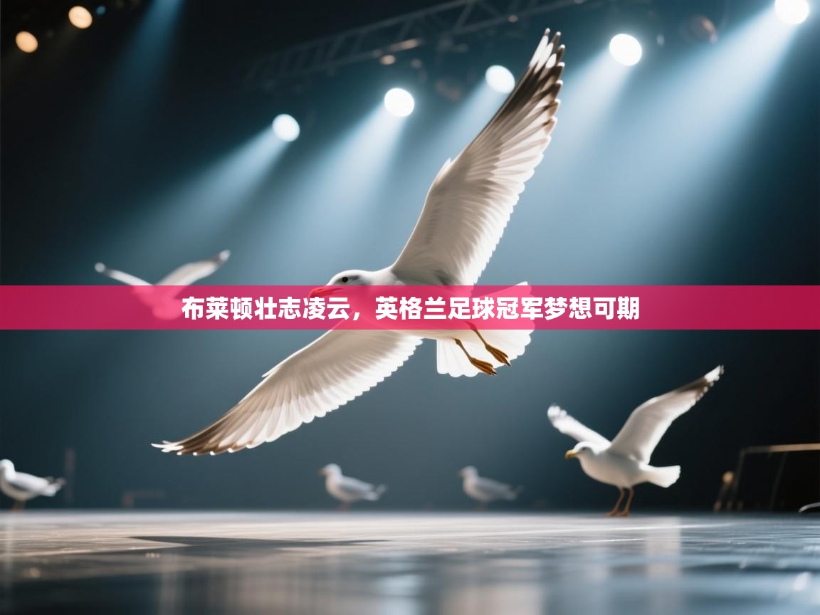 布莱顿壮志凌云,英格兰足球冠军梦想可期 第2张