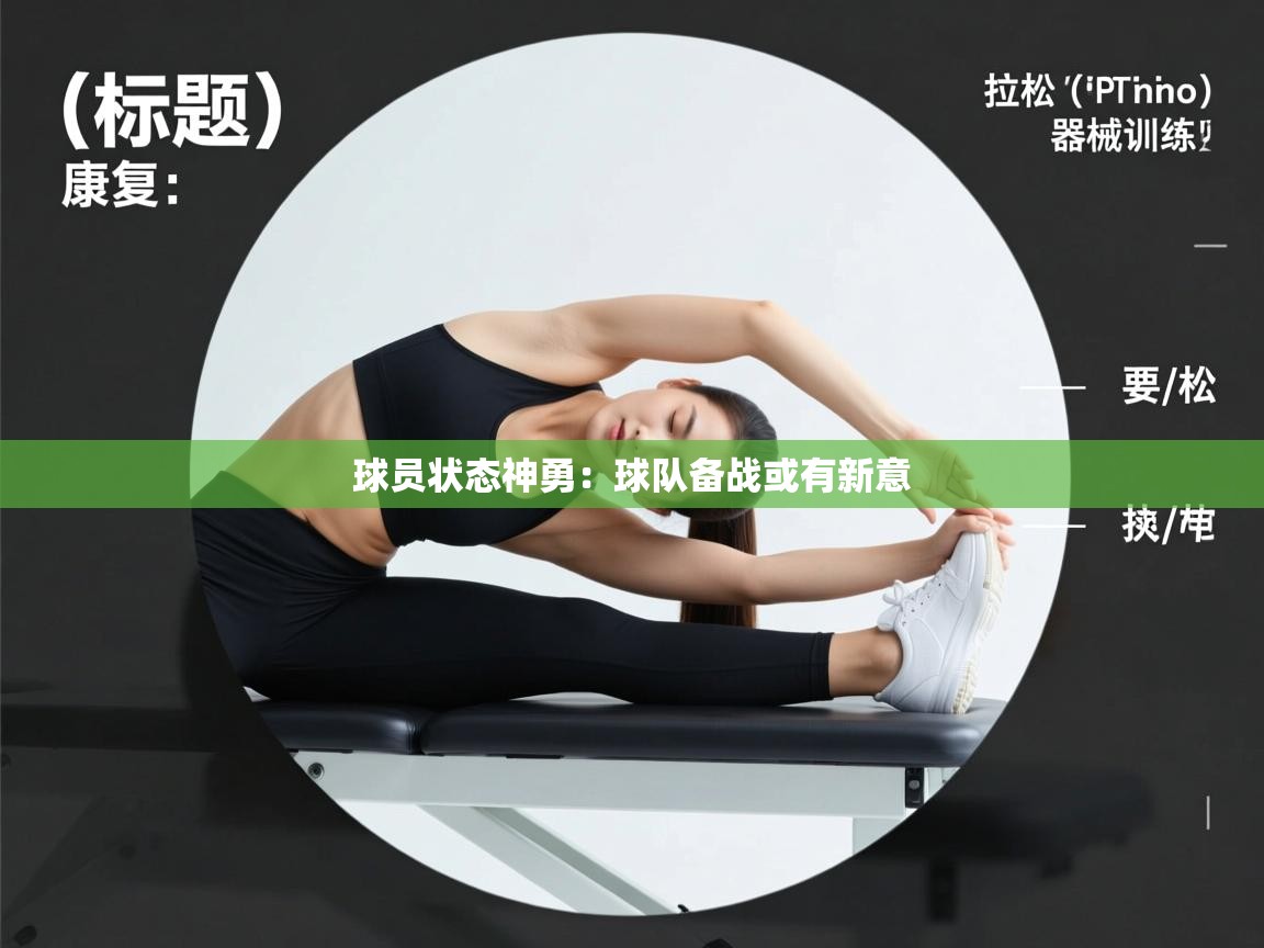 球员状态神勇：球队备战或有新意